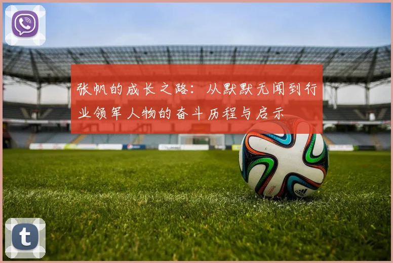 张帆的成长之路：从默默无闻到行业领军人物的奋斗历程与启示