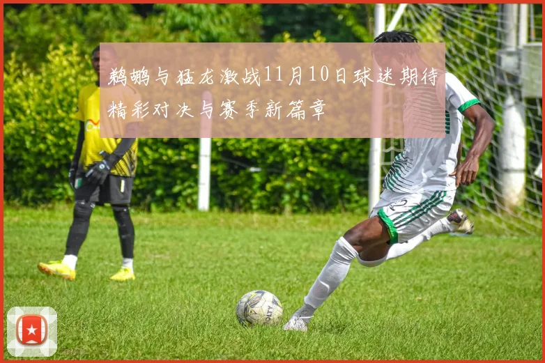 鹈鹕与猛龙激战11月10日球迷期待精彩对决与赛季新篇章