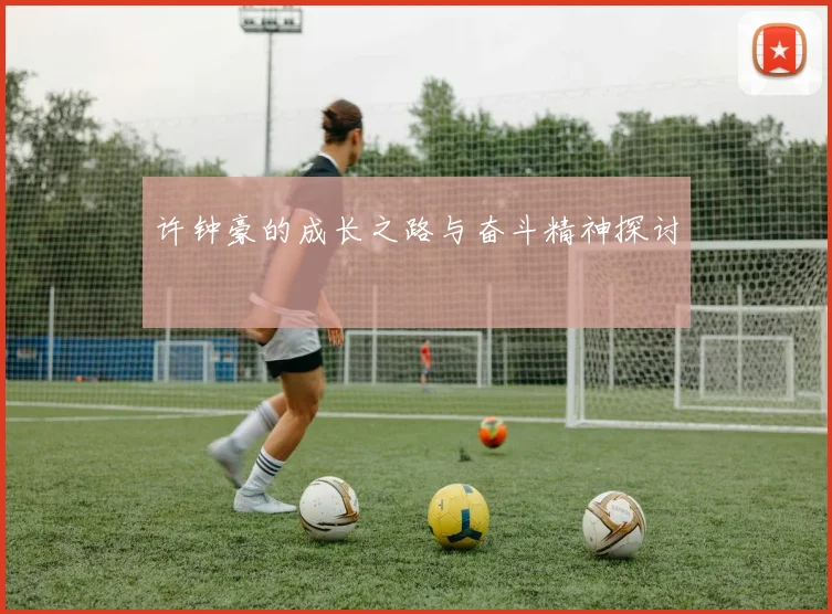 许钟豪的成长之路与奋斗精神探讨